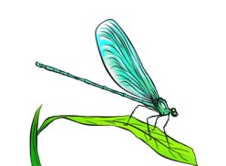2-free-dragonfly-clip-art-l
